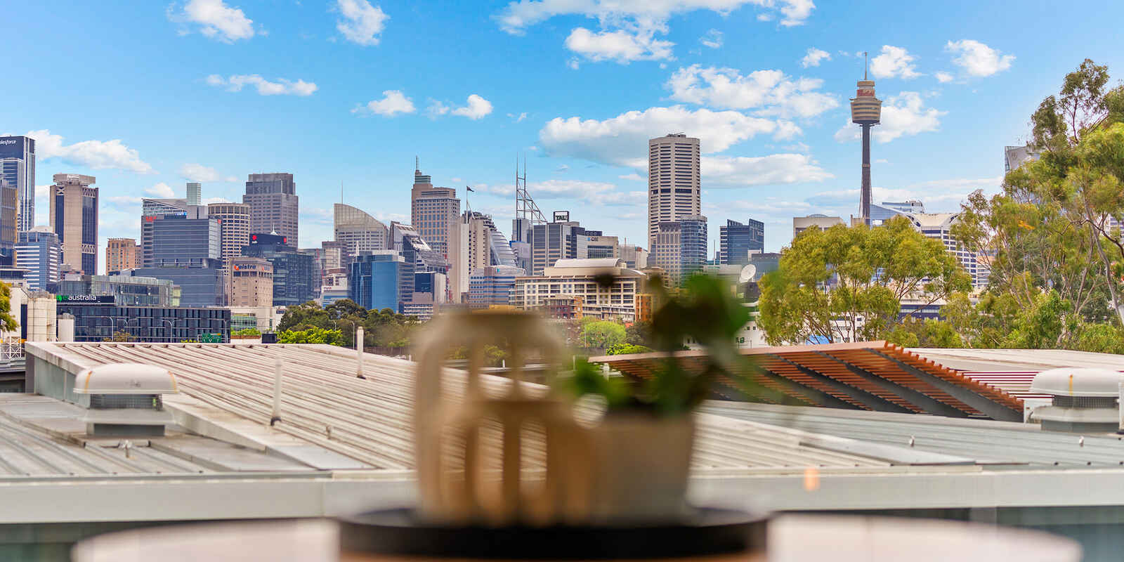 310/14 Griffin Place Glebe