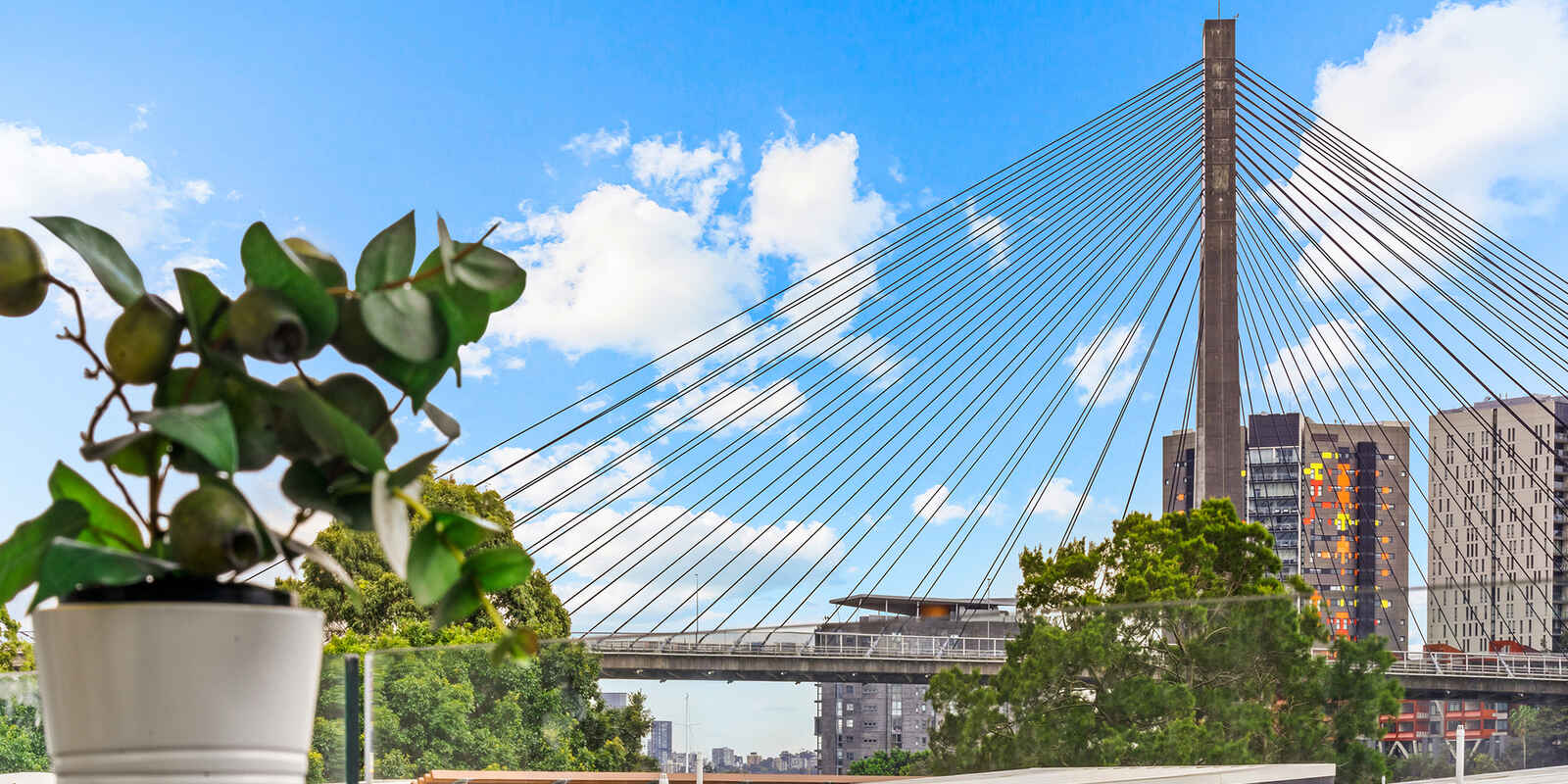 310/14 Griffin Place Glebe