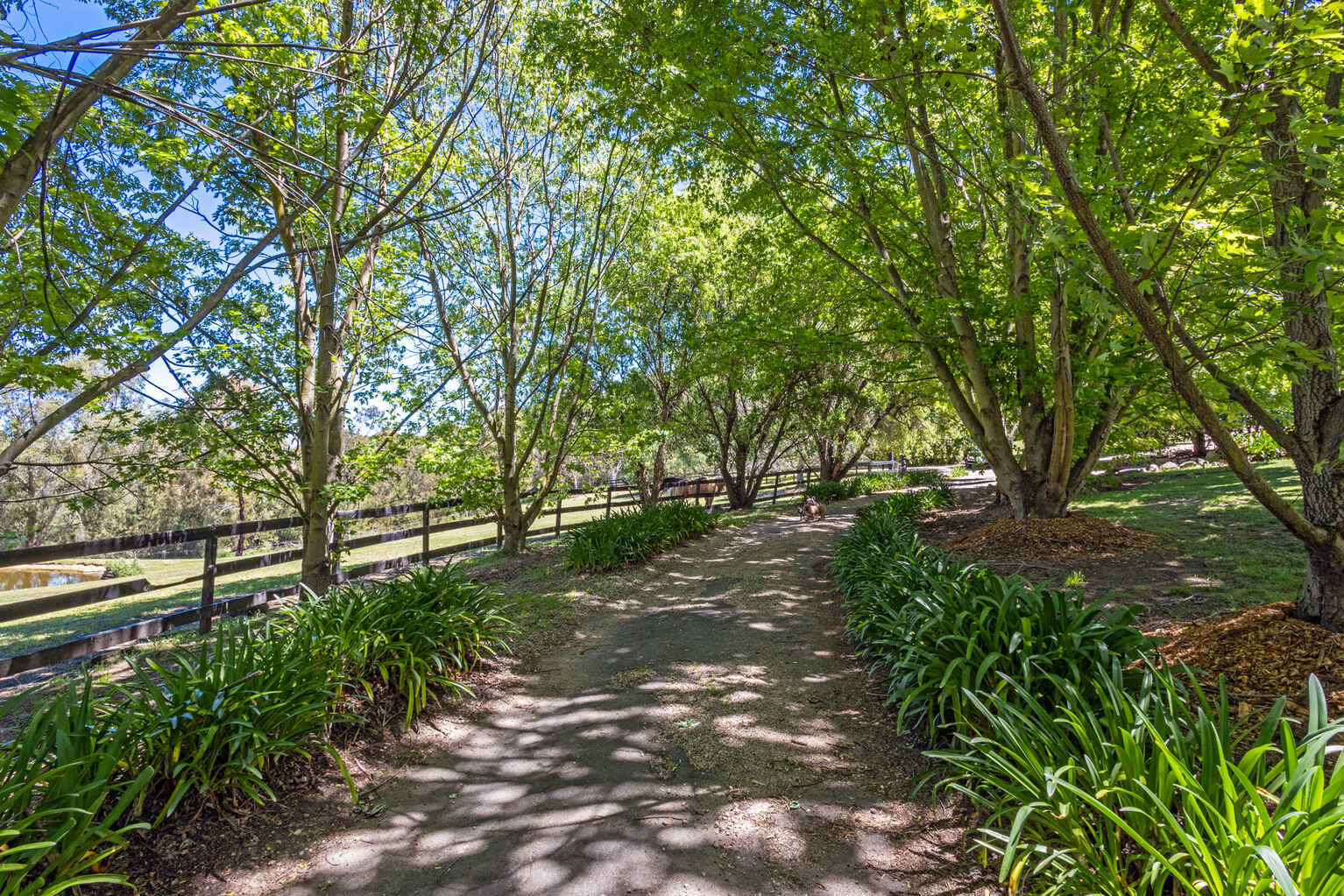 38B Morris Place Little Hartley