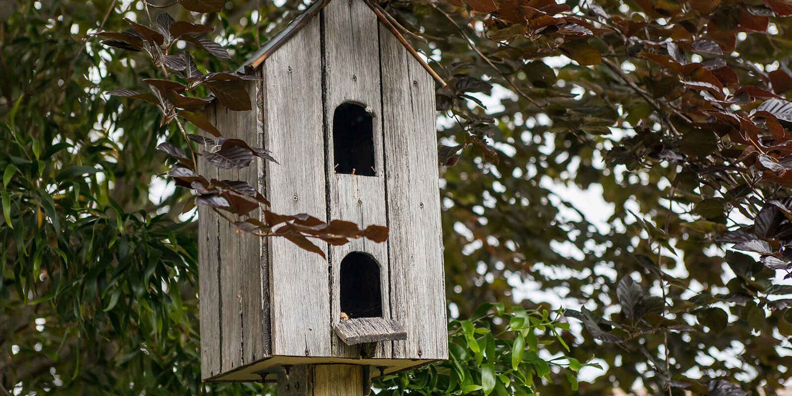 746 Sheepwash Road Avoca 746 Sheepwash Road Avoca