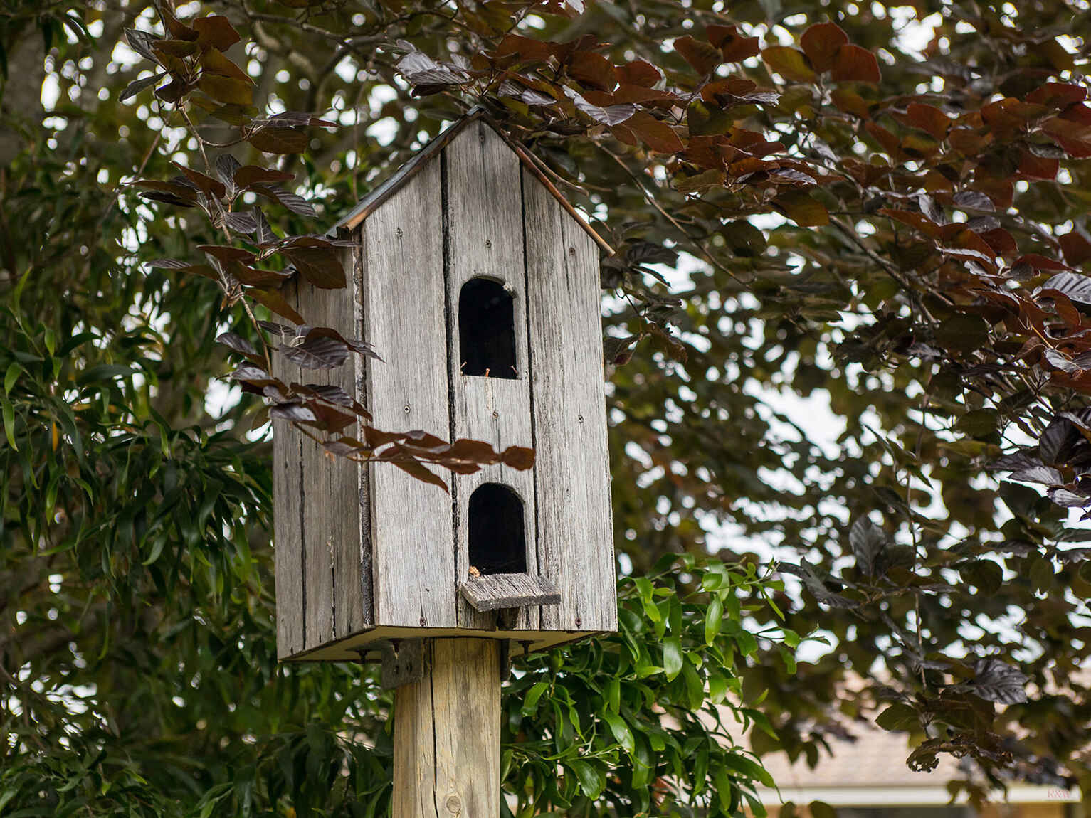 746 Sheepwash Road Avoca 746 Sheepwash Road Avoca