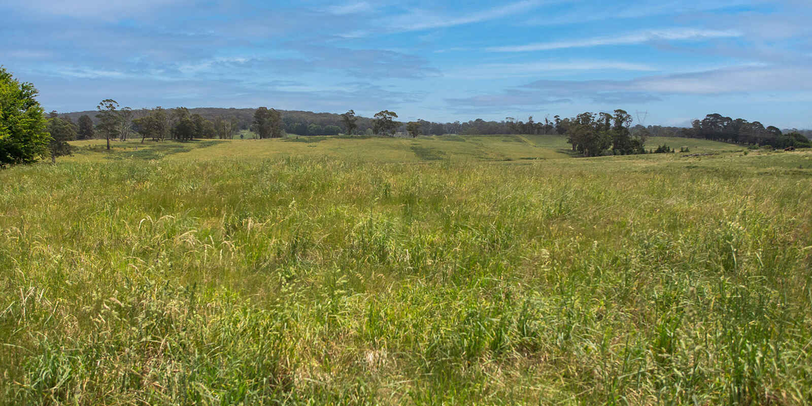 746 Sheepwash Road Avoca 746 Sheepwash Road Avoca