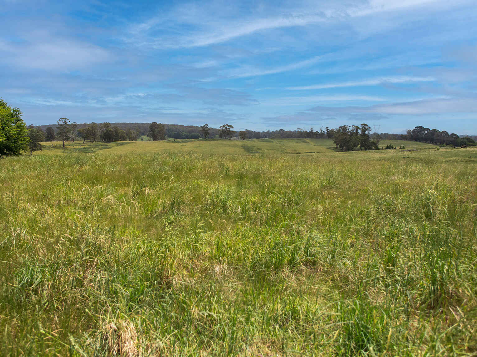 746 Sheepwash Road Avoca 746 Sheepwash Road Avoca