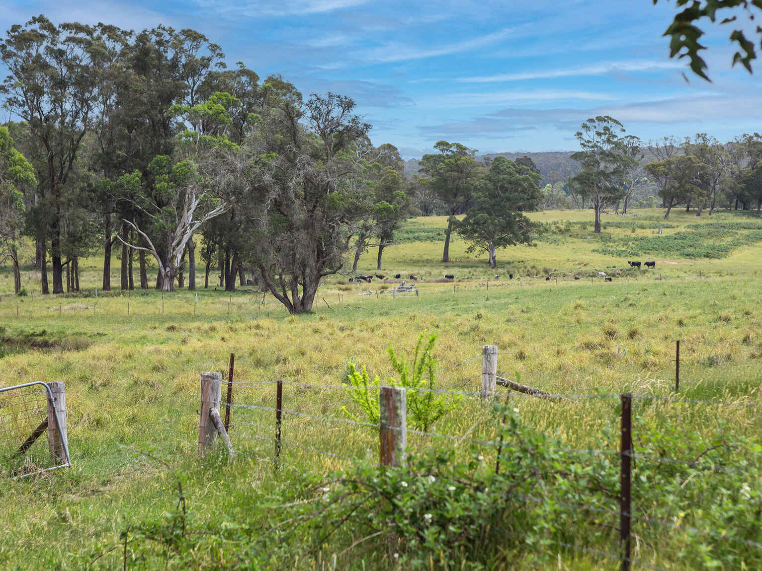 746 Sheepwash Road Avoca 746 Sheepwash Road Avoca