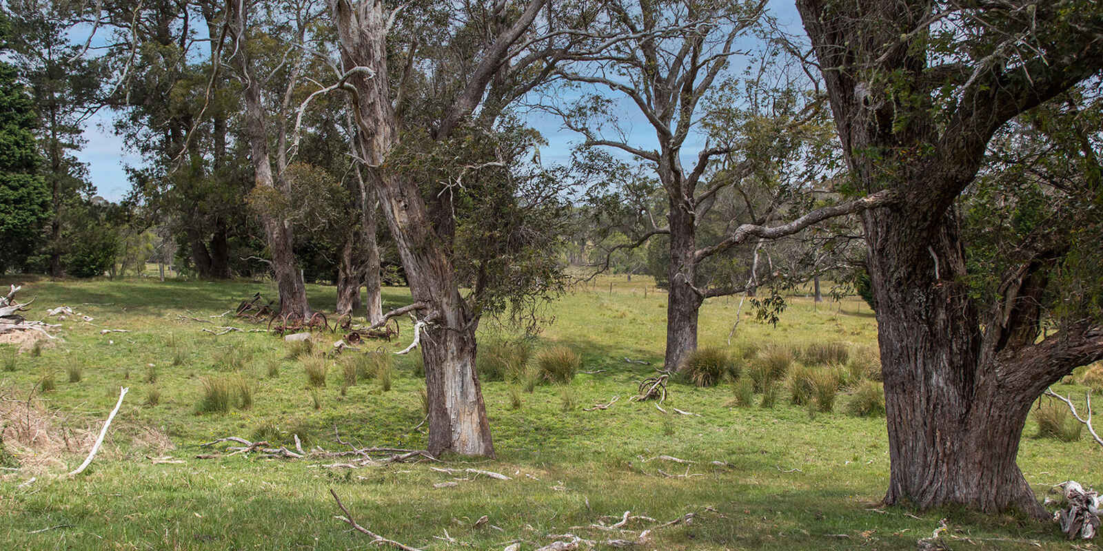 746 Sheepwash Road Avoca 746 Sheepwash Road Avoca