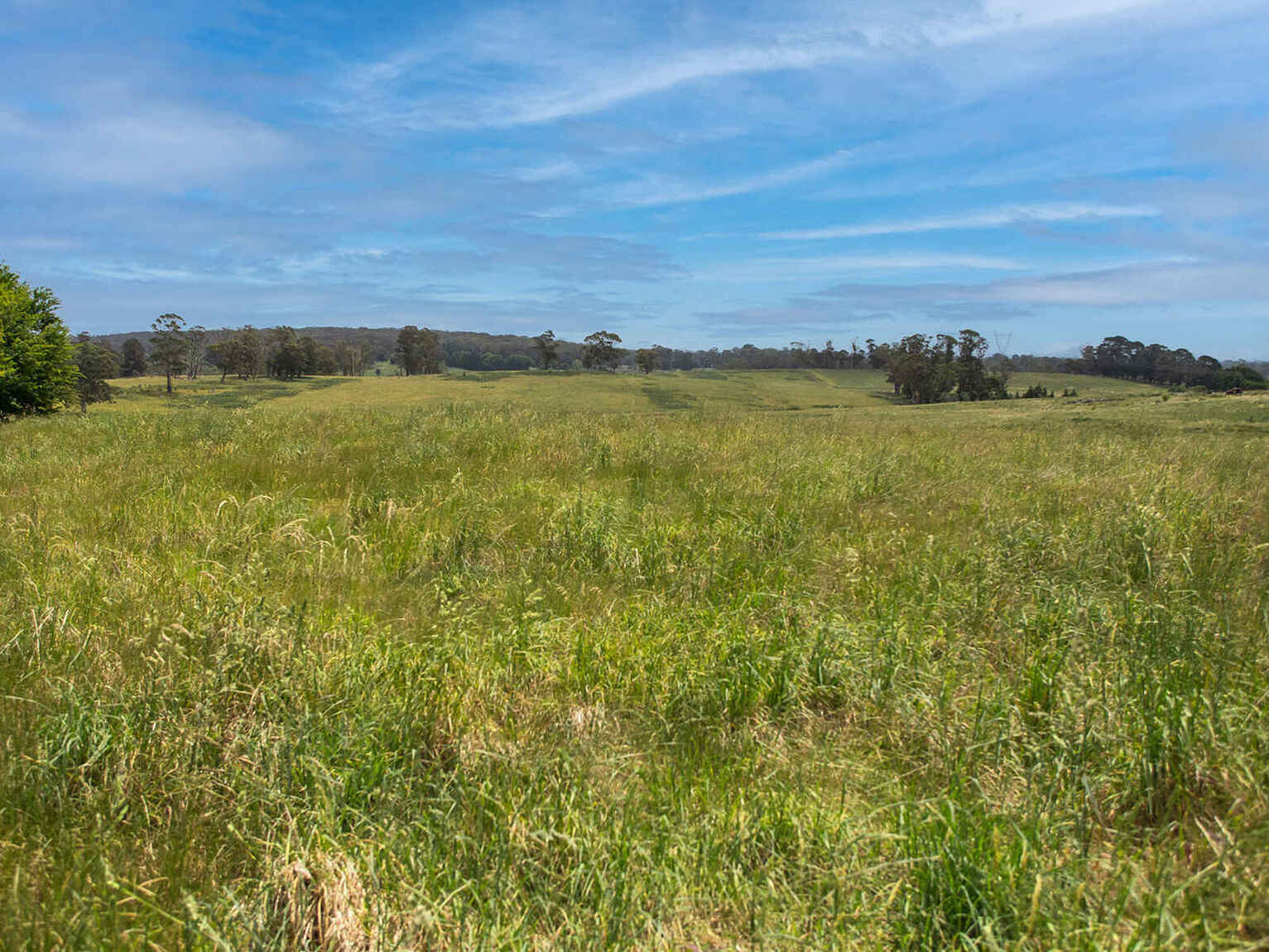 746 Sheepwash Road Avoca