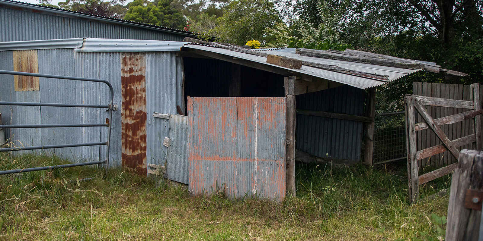 746 Sheepwash Road Avoca