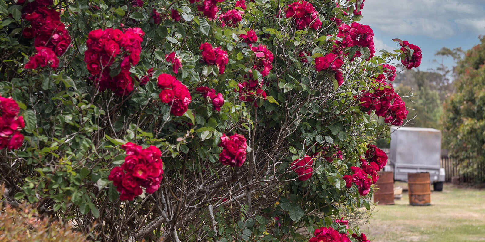 746 Sheepwash Road Avoca