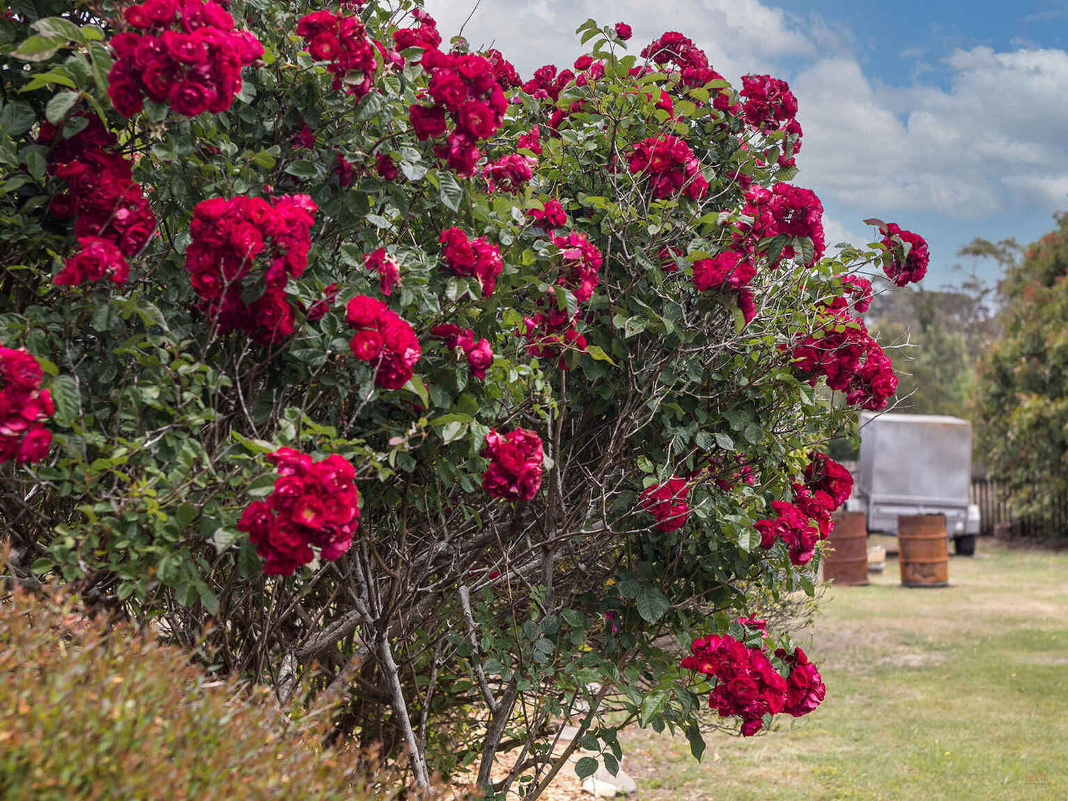 746 Sheepwash Road Avoca