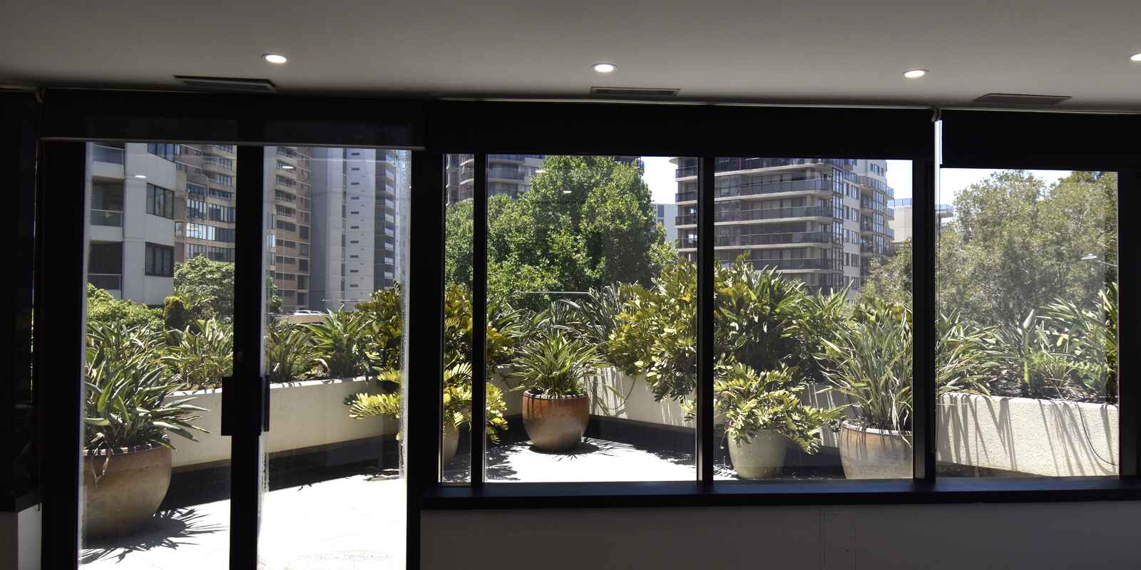 Suite 302 3 Waverley Street Bondi Junction