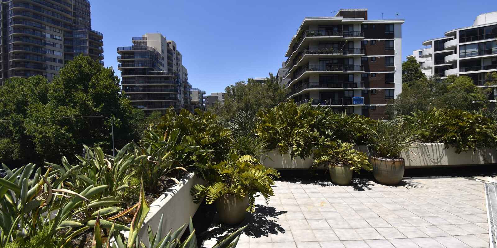 Suite 302 3 Waverley Street Bondi Junction