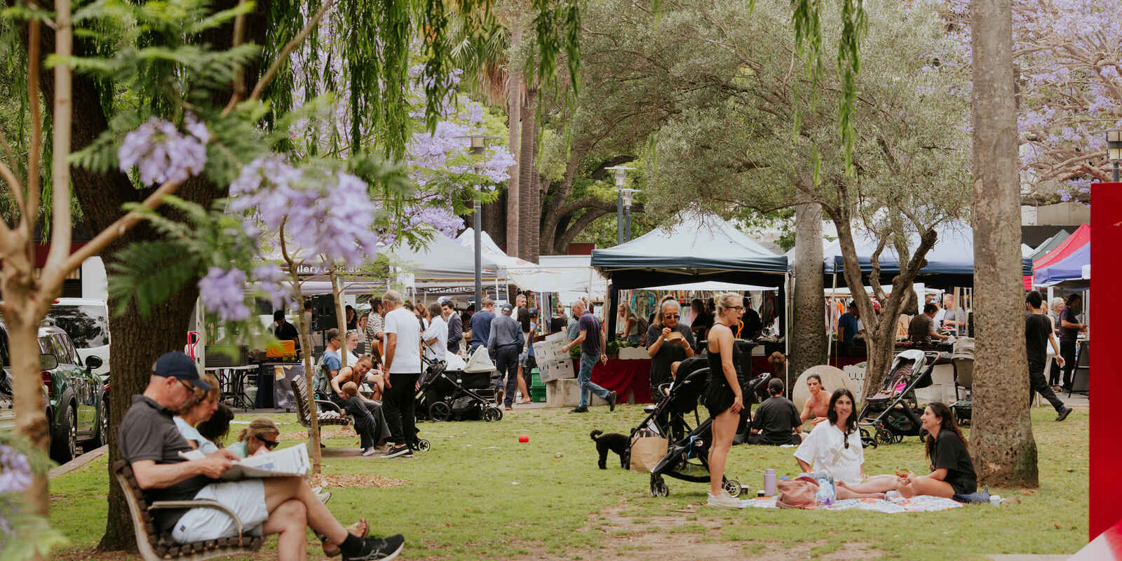 2/22 Greenoaks Avenue  Darling Point