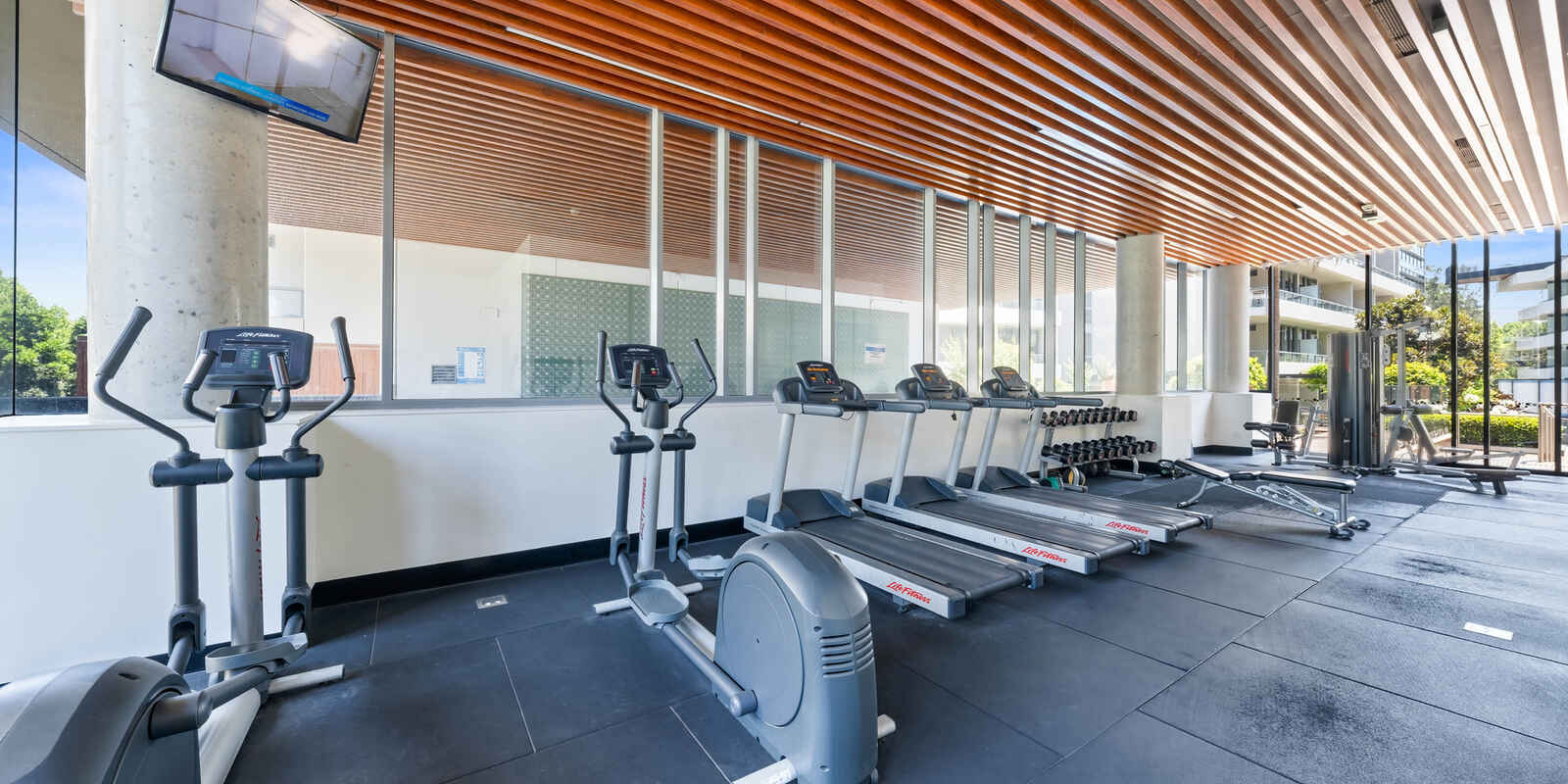 20/6 Archibald Avenue Waterloo