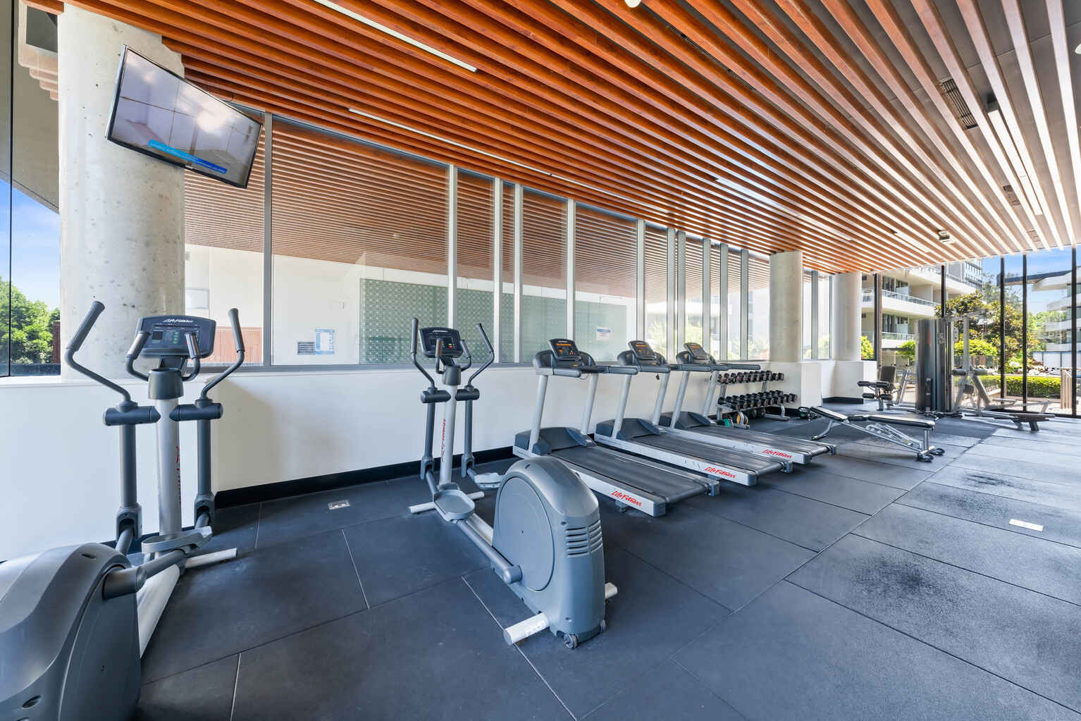 20/6 Archibald Avenue Waterloo