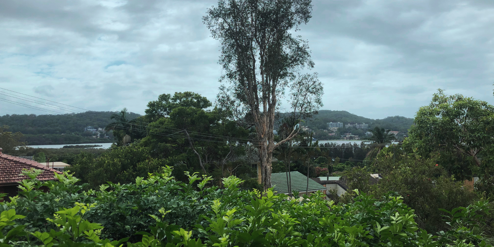 27 Fiona Street Point Clare