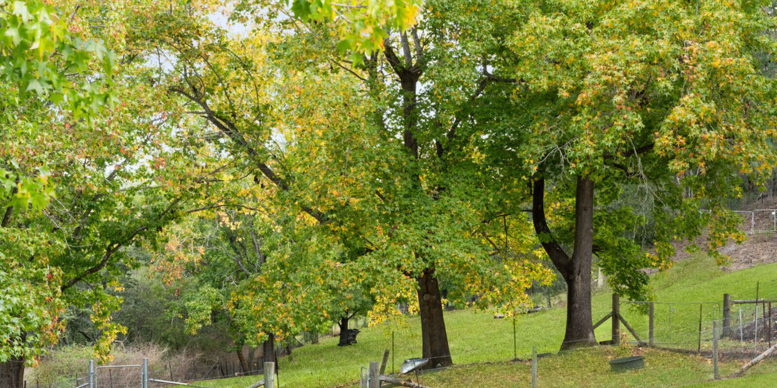 802 Lower Colo Road Lower Portland