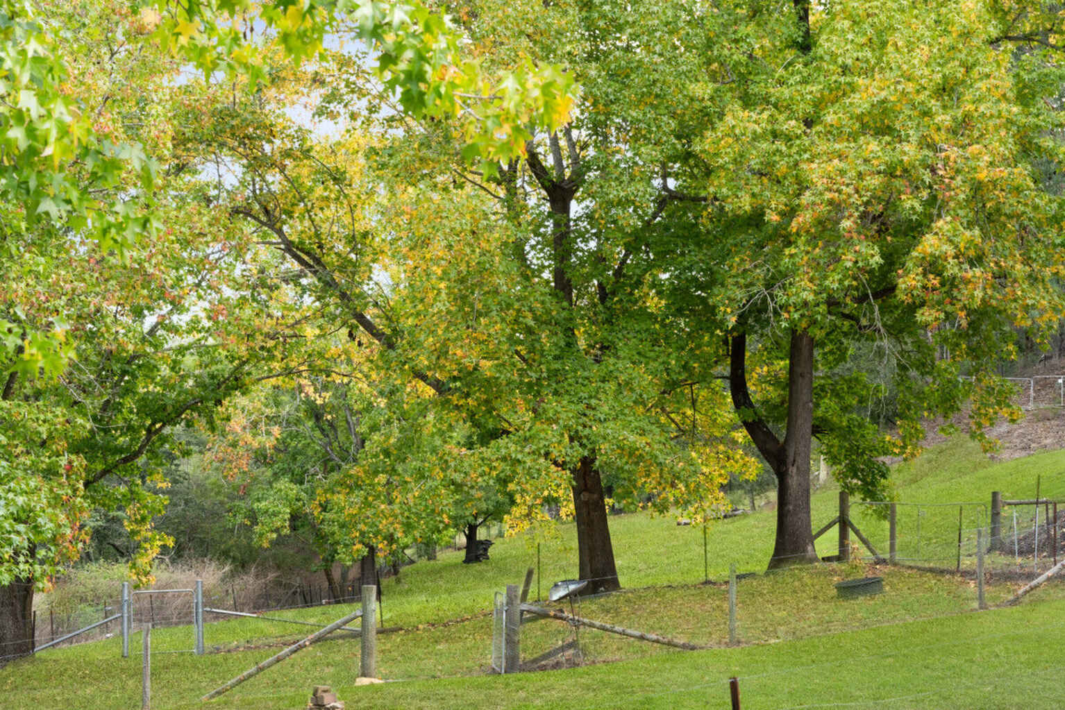 802 Lower Colo Road Lower Portland