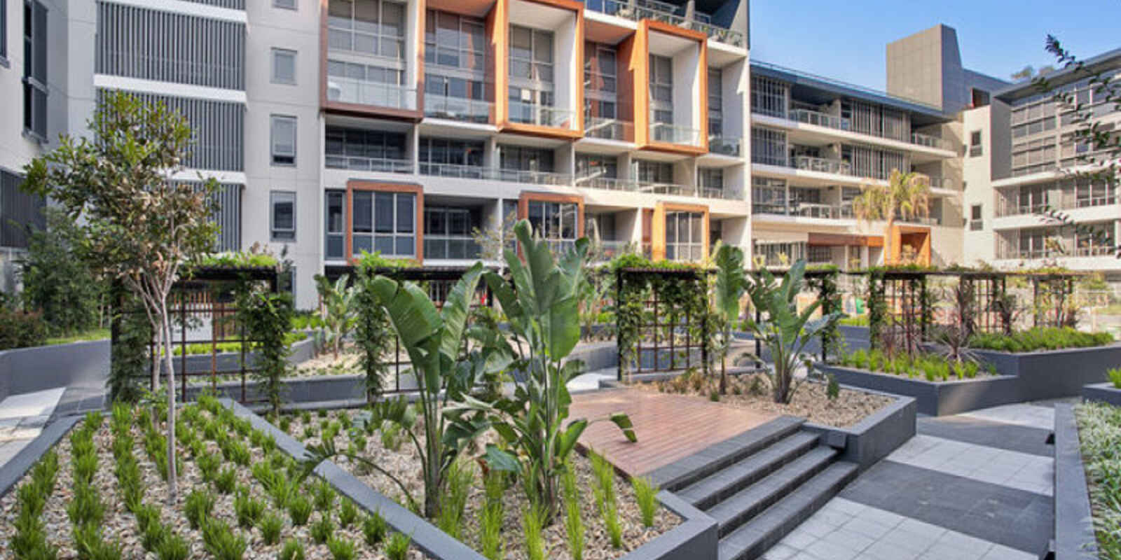 54/6 Archibald Avenue Waterloo