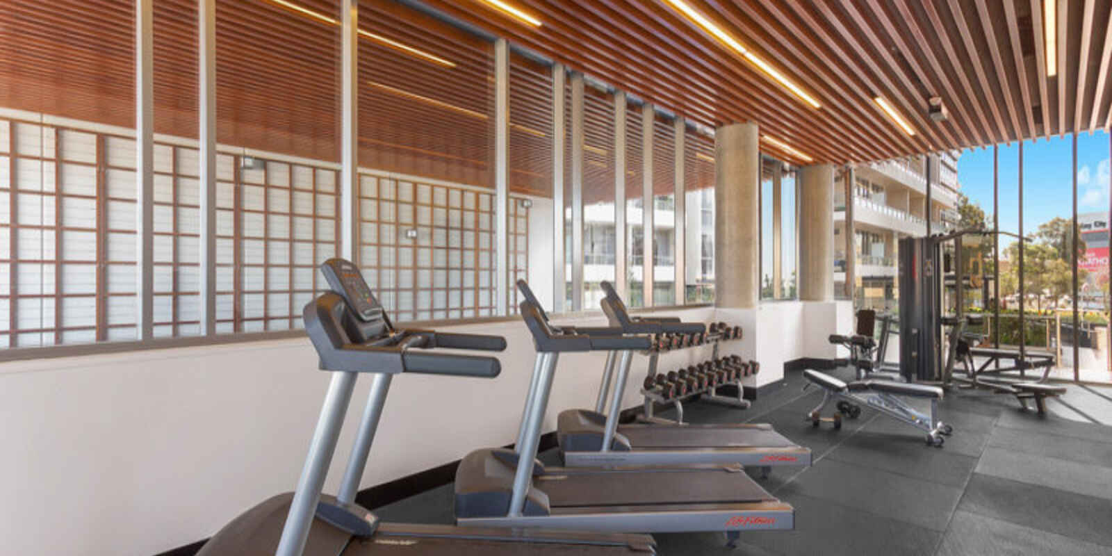 54/6 Archibald Avenue Waterloo