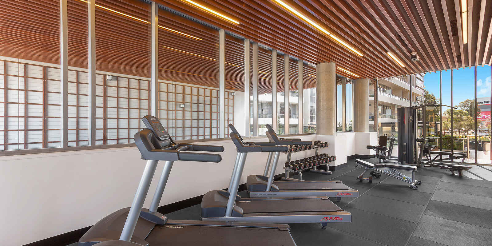 49/6 Archibald Avenue Waterloo