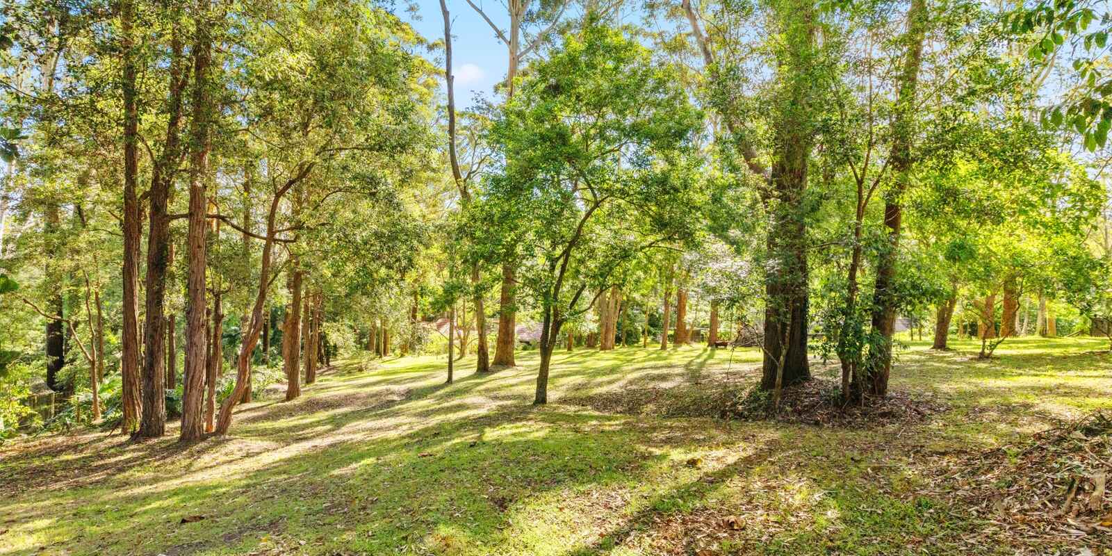 35 Meadow Road Springfield