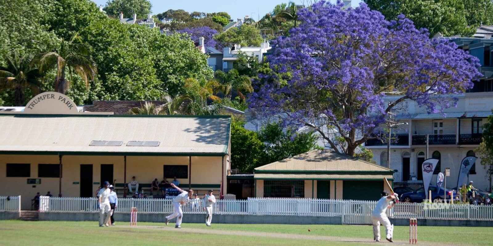 7/23 Cooper Street Paddington