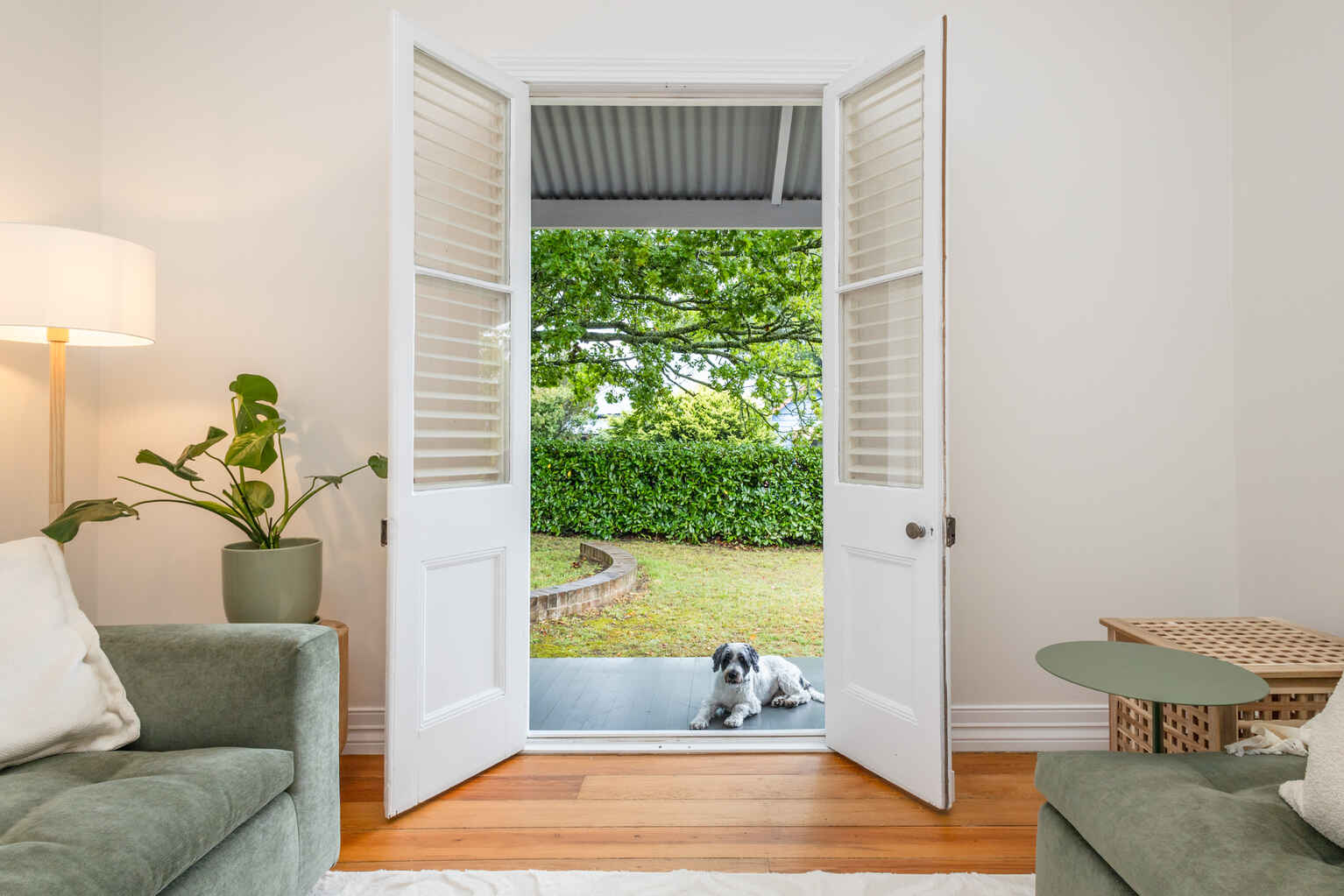 17 Waragil Street Blackheath 17 Waragil Street Blackheath