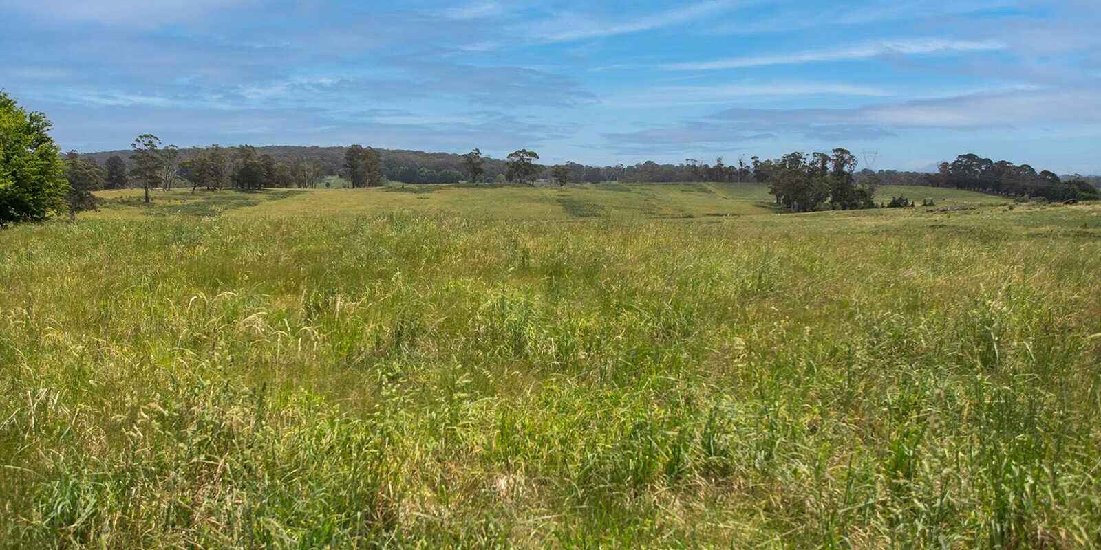 746 Sheepwash Road Avoca