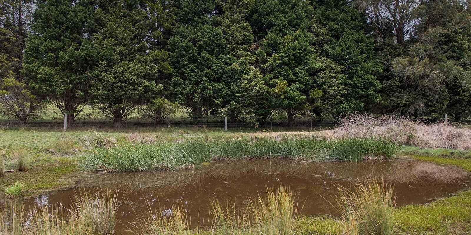 746 Sheepwash Road Avoca