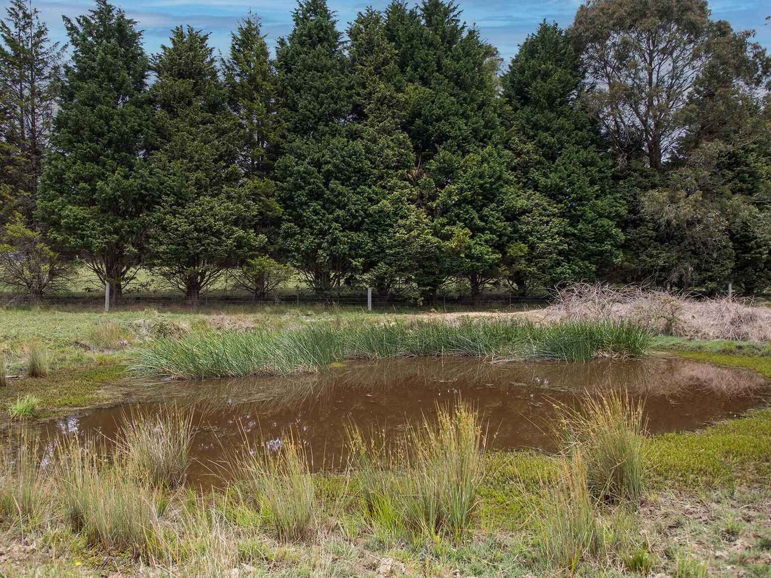 746 Sheepwash Road Avoca