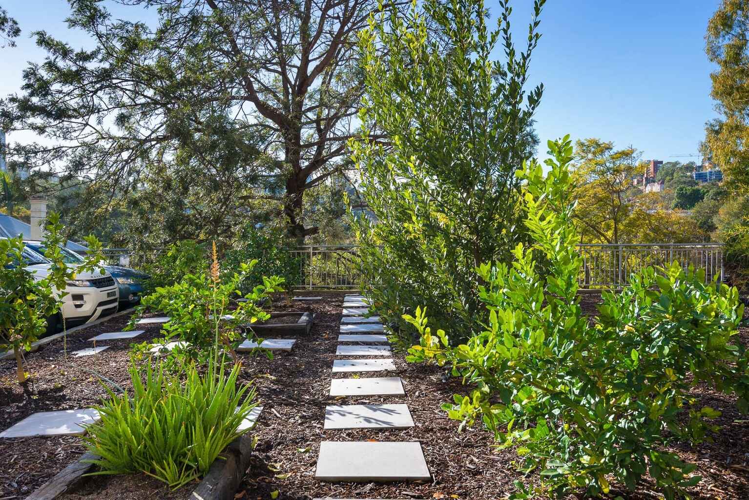 408/27 Neutral Street North Sydney