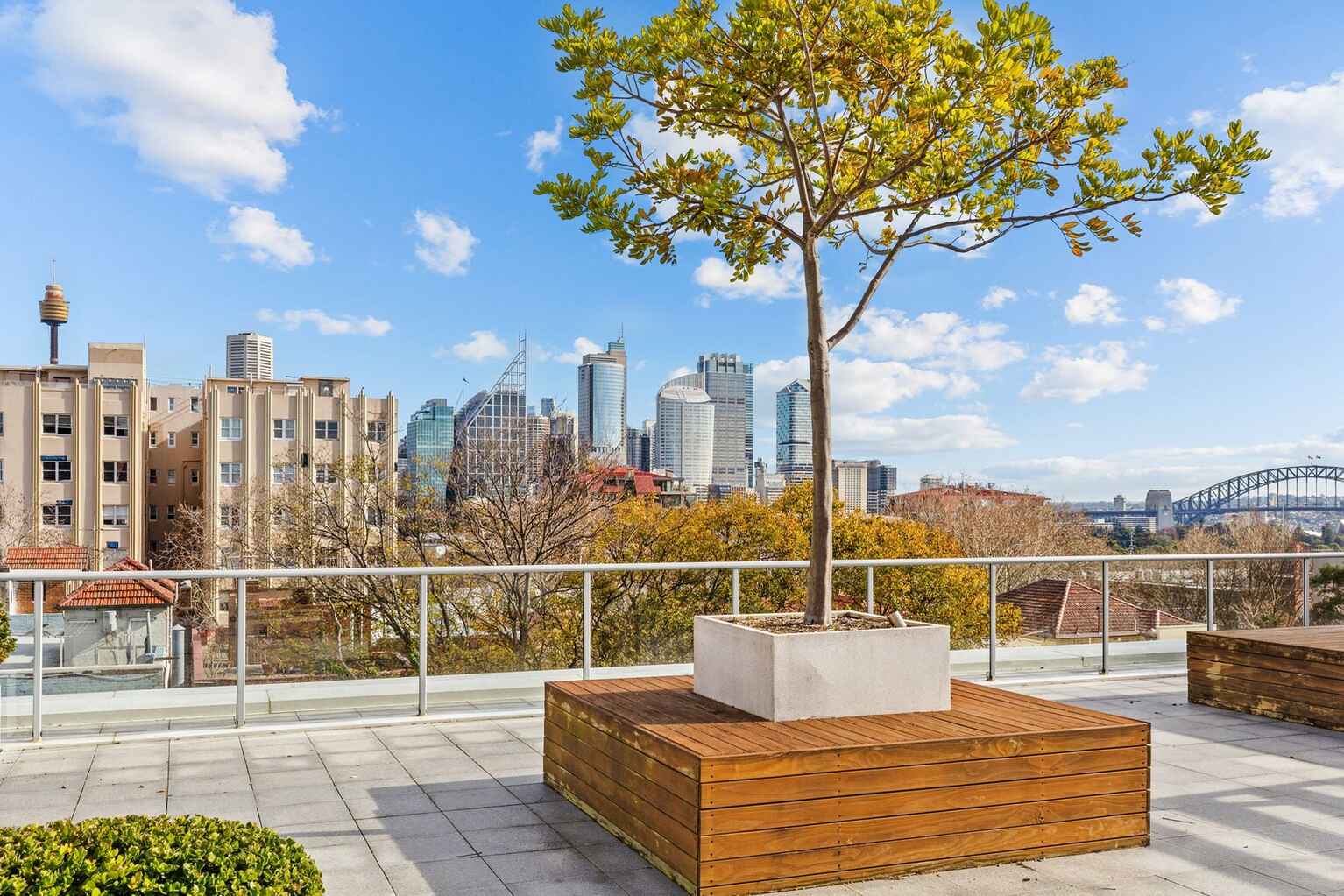 6/91 Macleay Street Potts Point