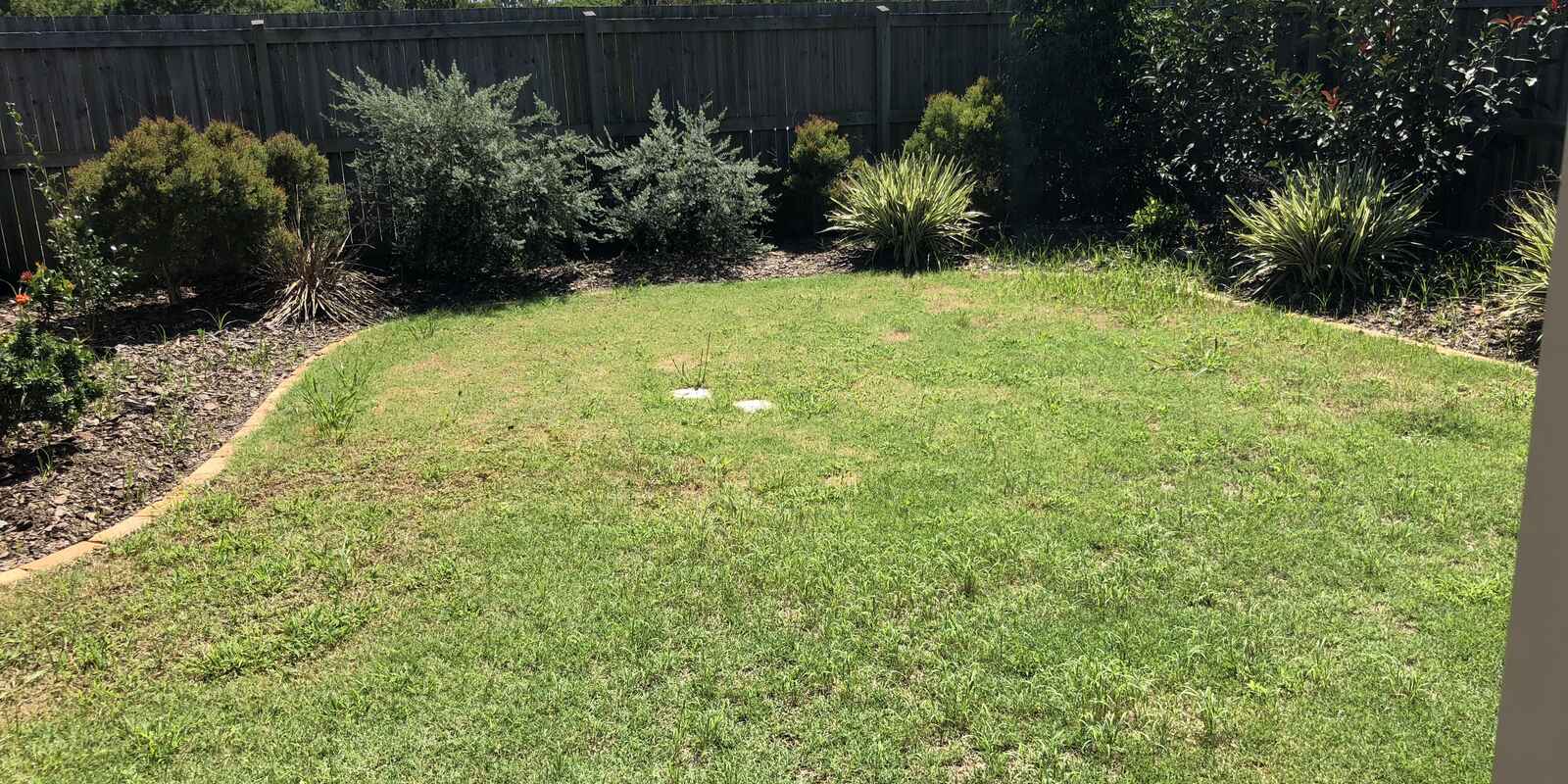 53b Pinegrove Street Morayfield 53b Pinegrove Street Morayfield