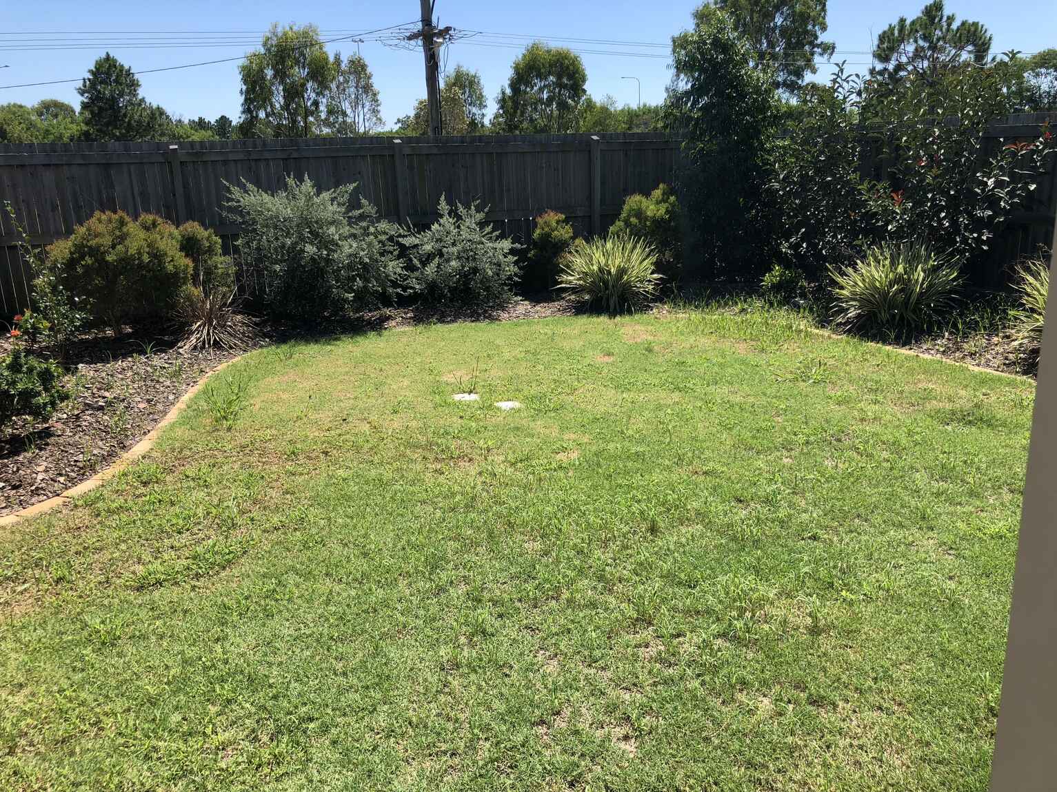 53b Pinegrove Street Morayfield 53b Pinegrove Street Morayfield