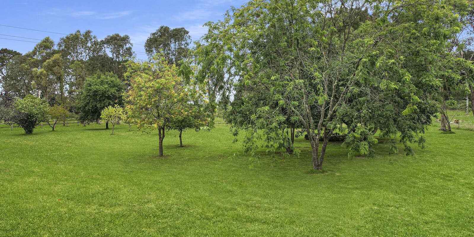 42 Suttor Road Moss Vale 42 Suttor Road Moss Vale