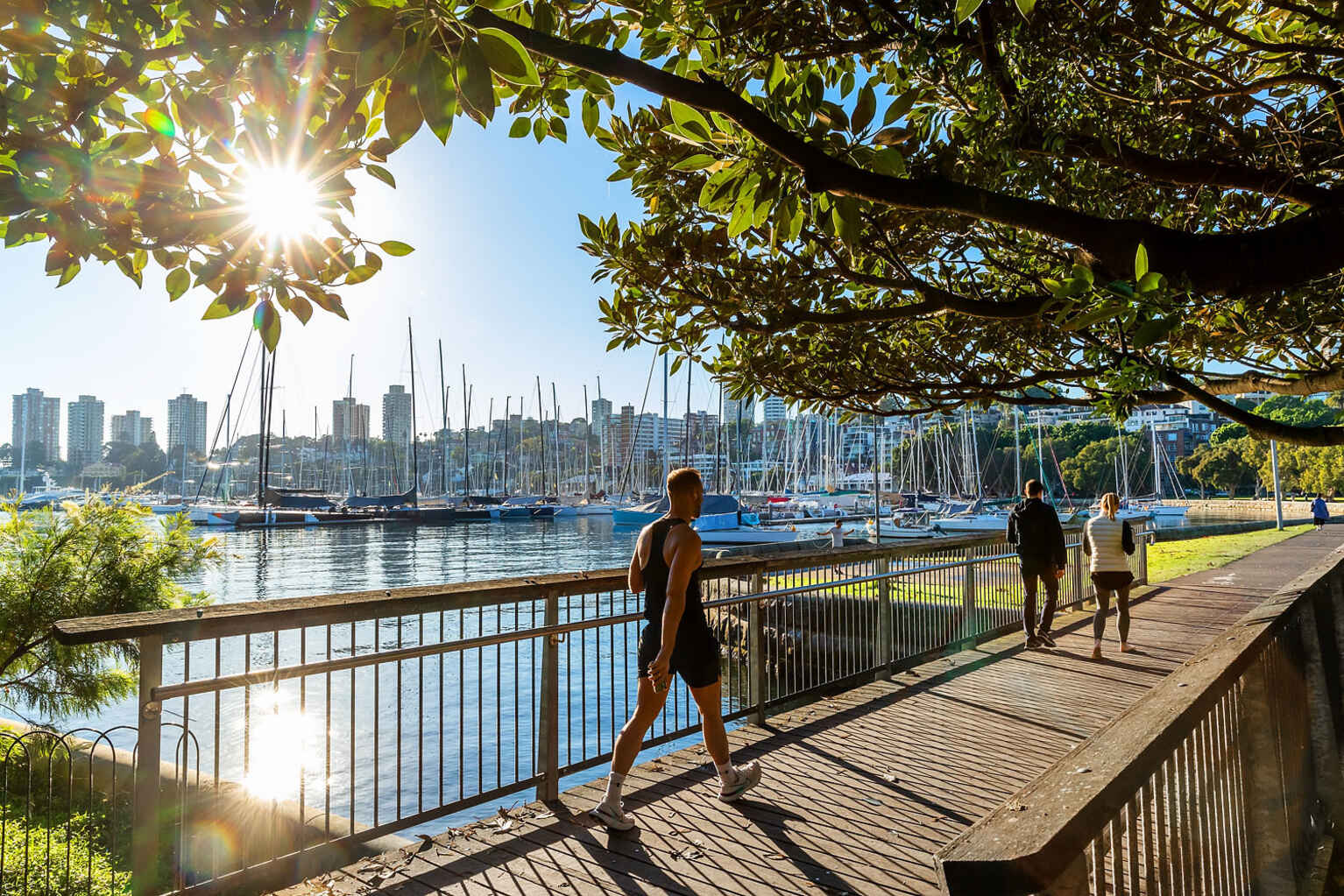 1/4 Holdsworth Avenue Elizabeth Bay 1/4 Holdsworth Avenue Elizabeth Bay