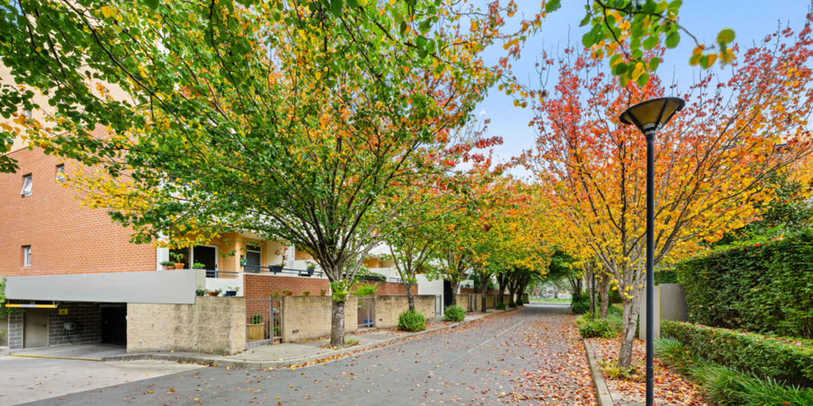 82/20 Close Street Canterbury
