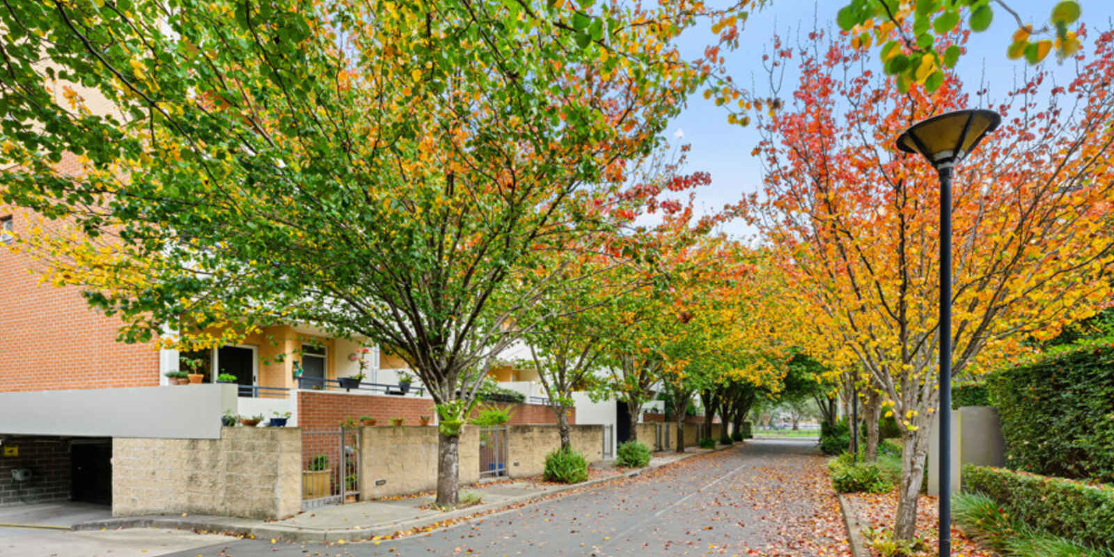 82/20 Close Street Canterbury