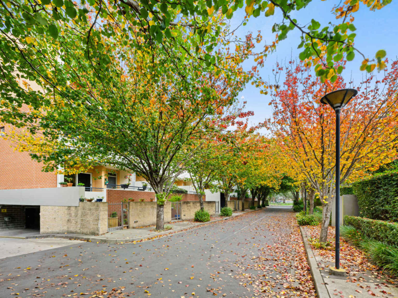 82/20 Close Street Canterbury