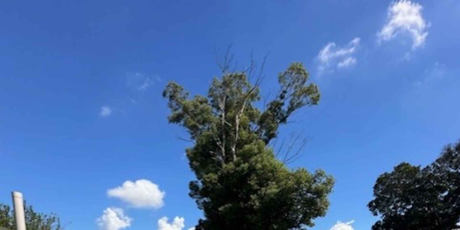 144 Stacey Street, Bankstown