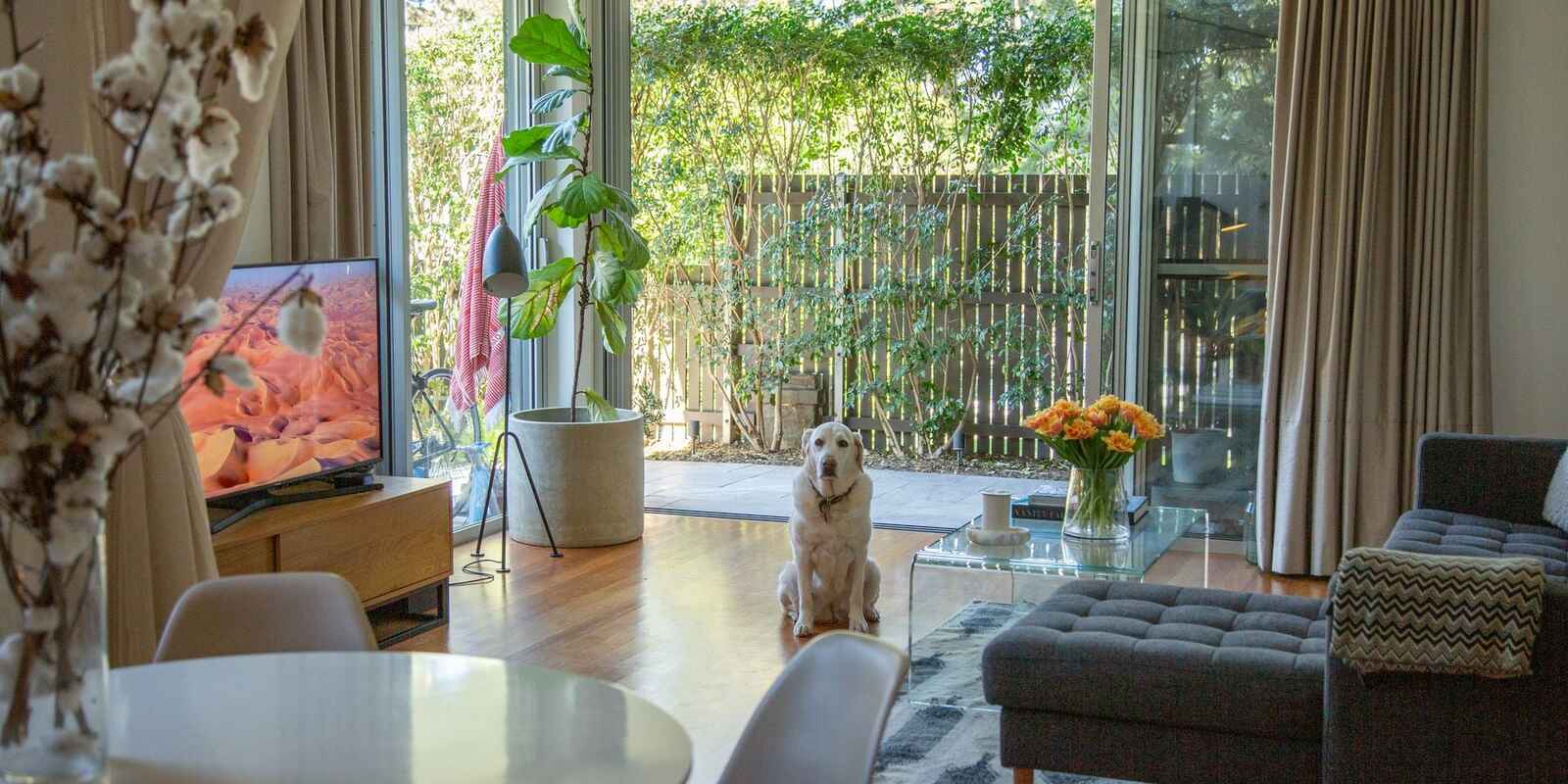 2/142-144 Francis Street Bondi Beach 2/142-144 Francis Street Bondi Beach