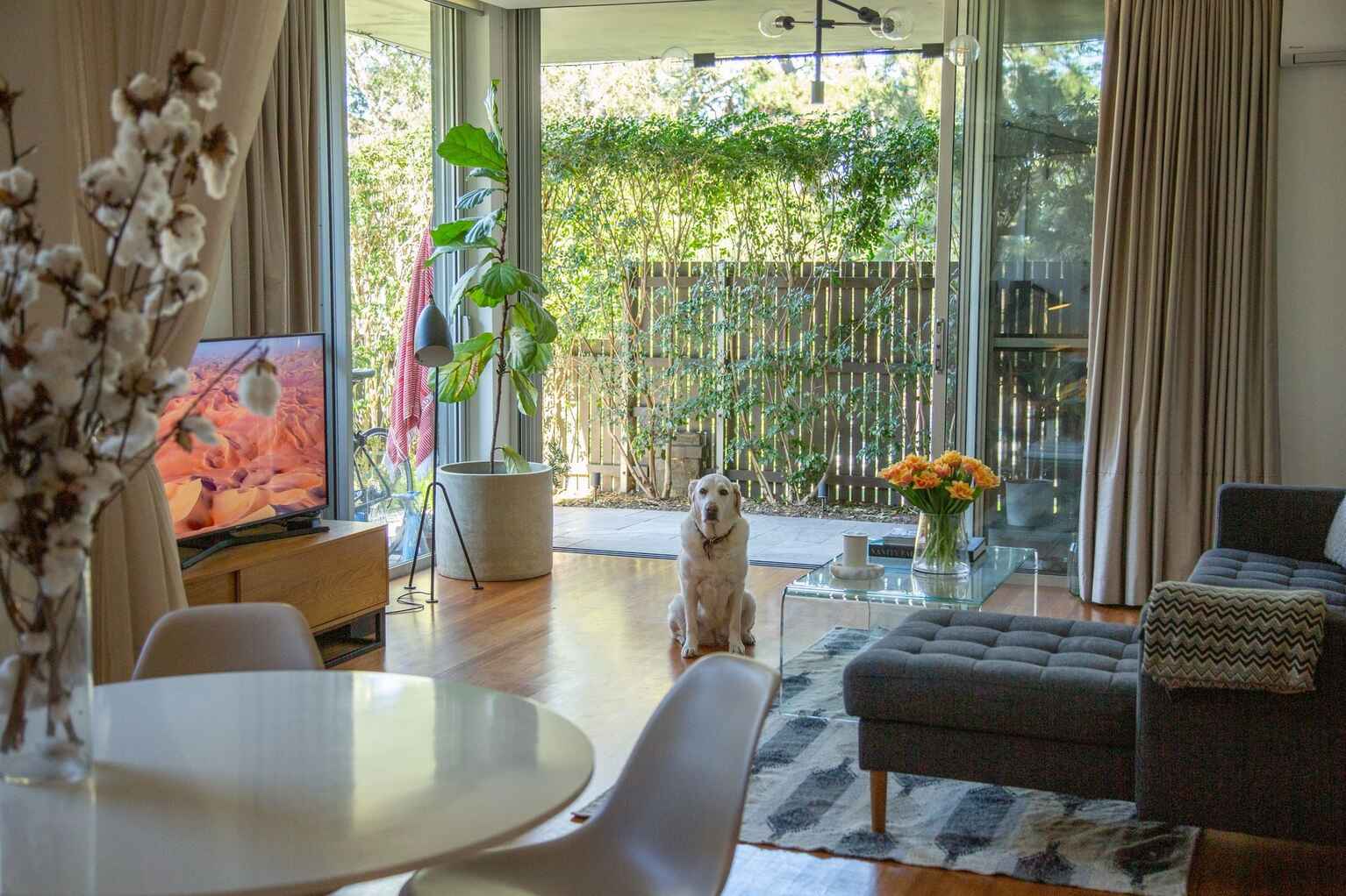 2/142-144 Francis Street Bondi Beach 2/142-144 Francis Street Bondi Beach