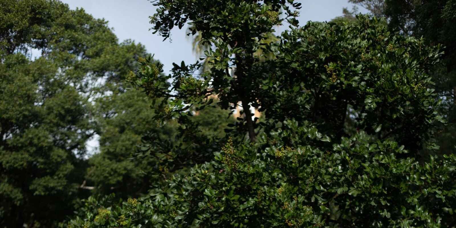 2/142-144 Francis Street Bondi Beach 2/142-144 Francis Street Bondi Beach