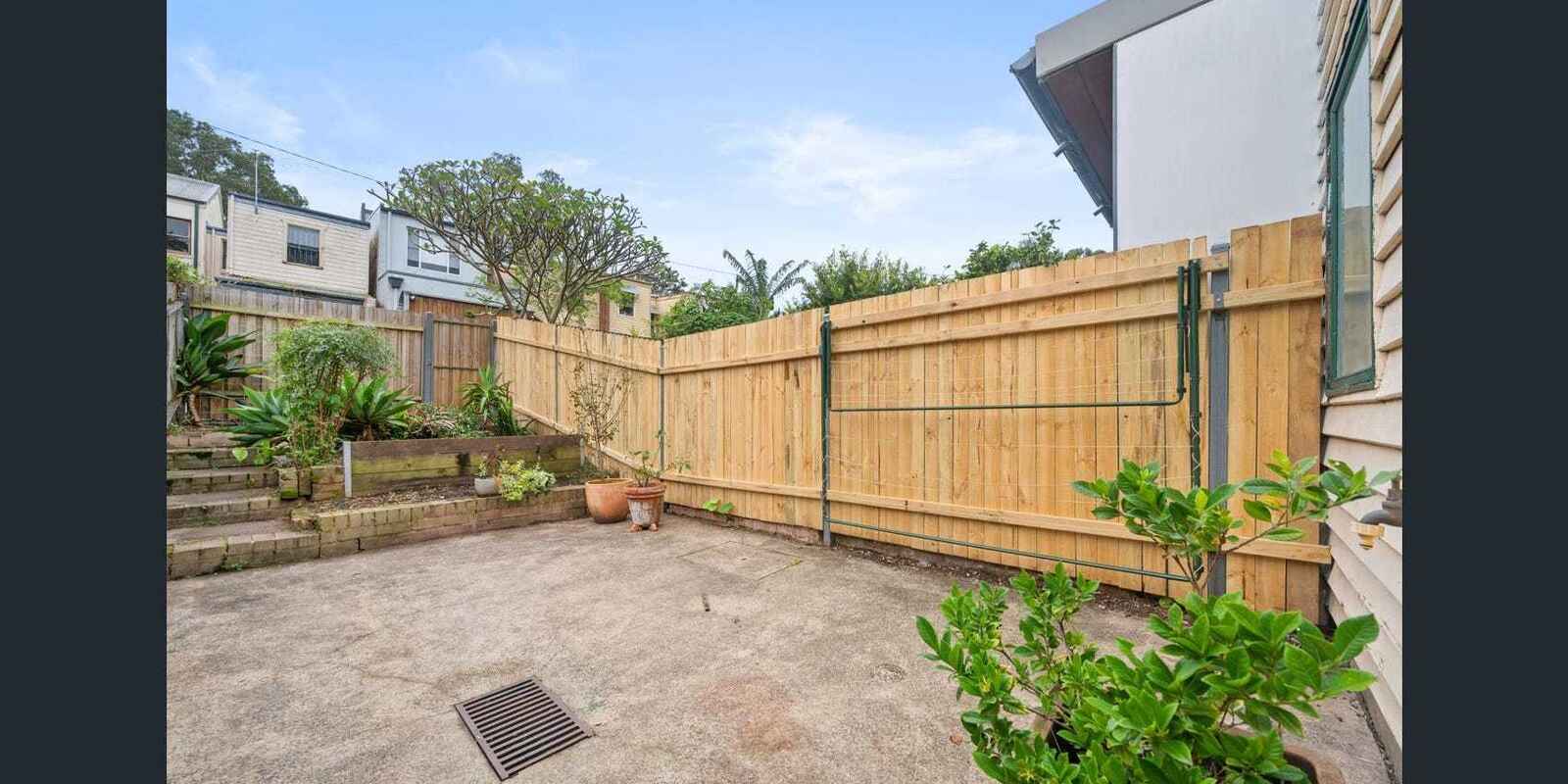 17/8 MacIntosh Street Mascot