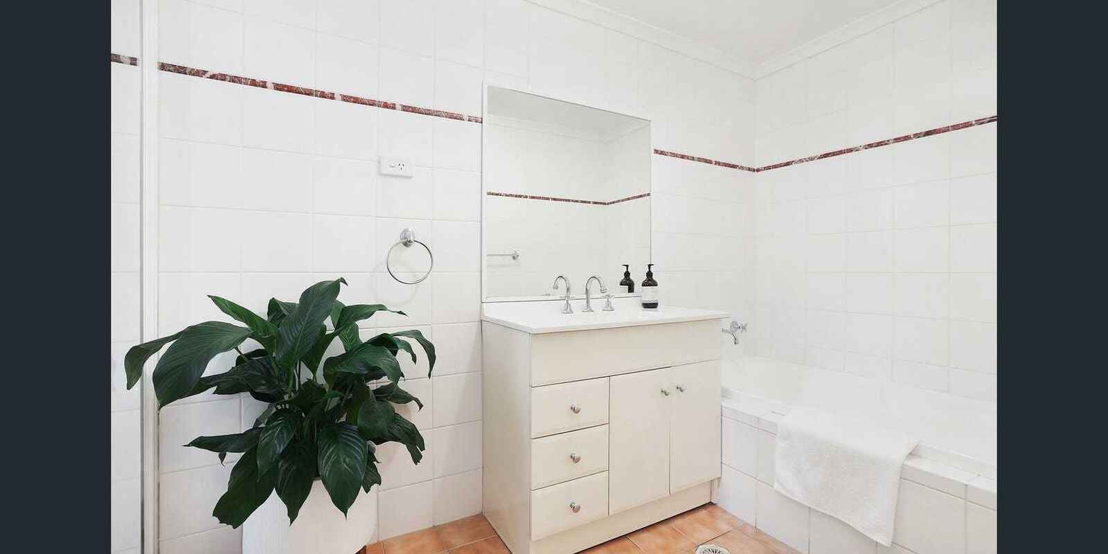 17/8 MacIntosh Street Mascot