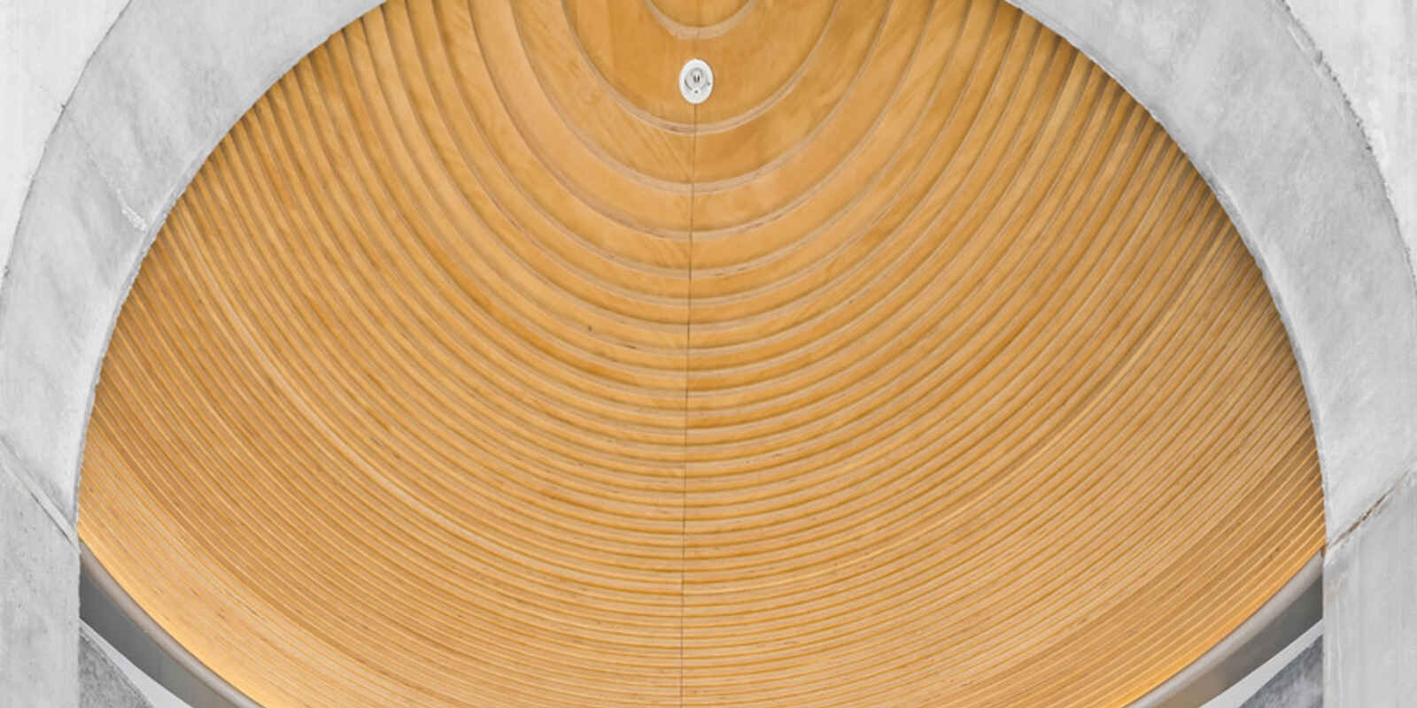 2107/116 Bathurst Street Sydney