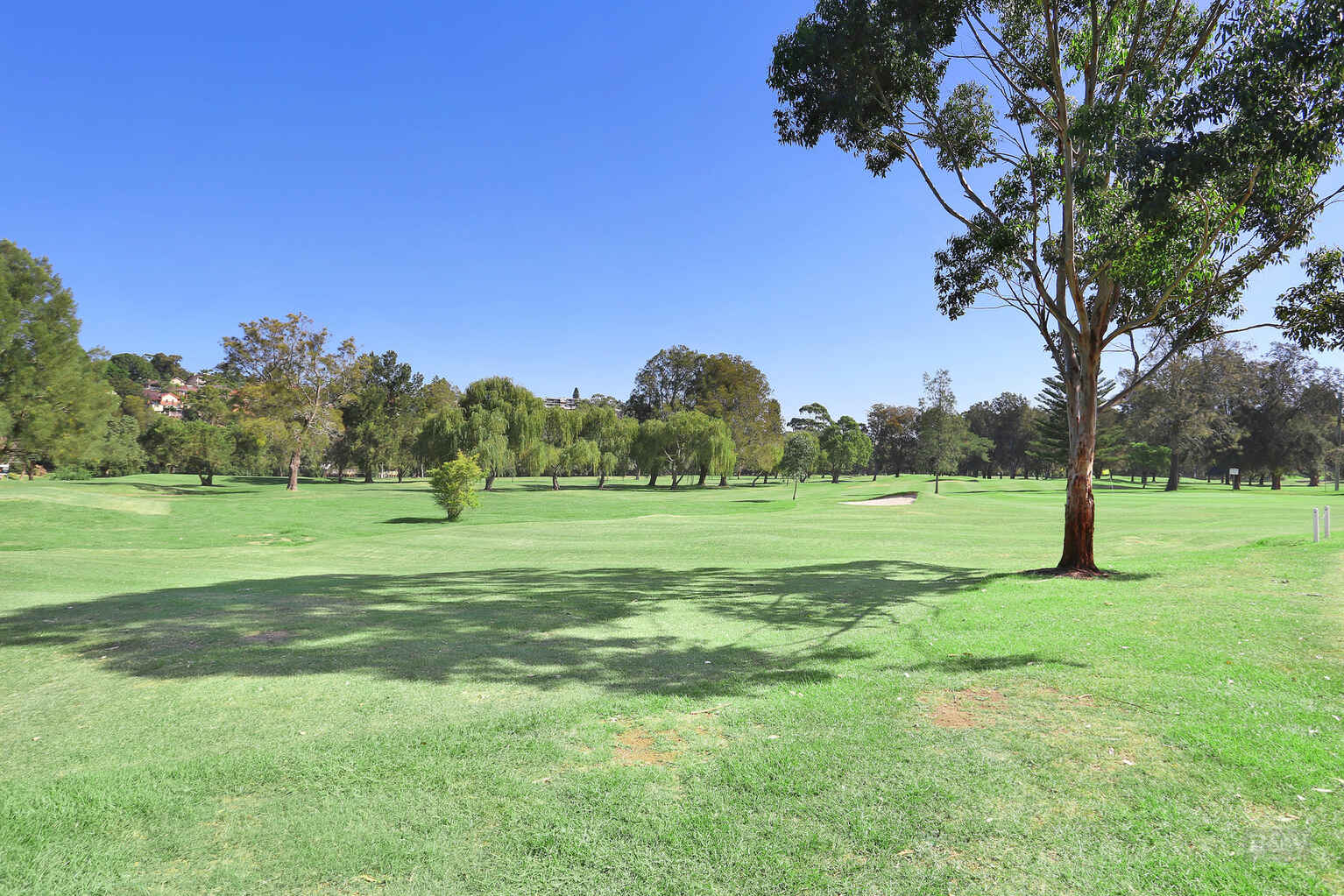 1/9 Hill Street Marrickville