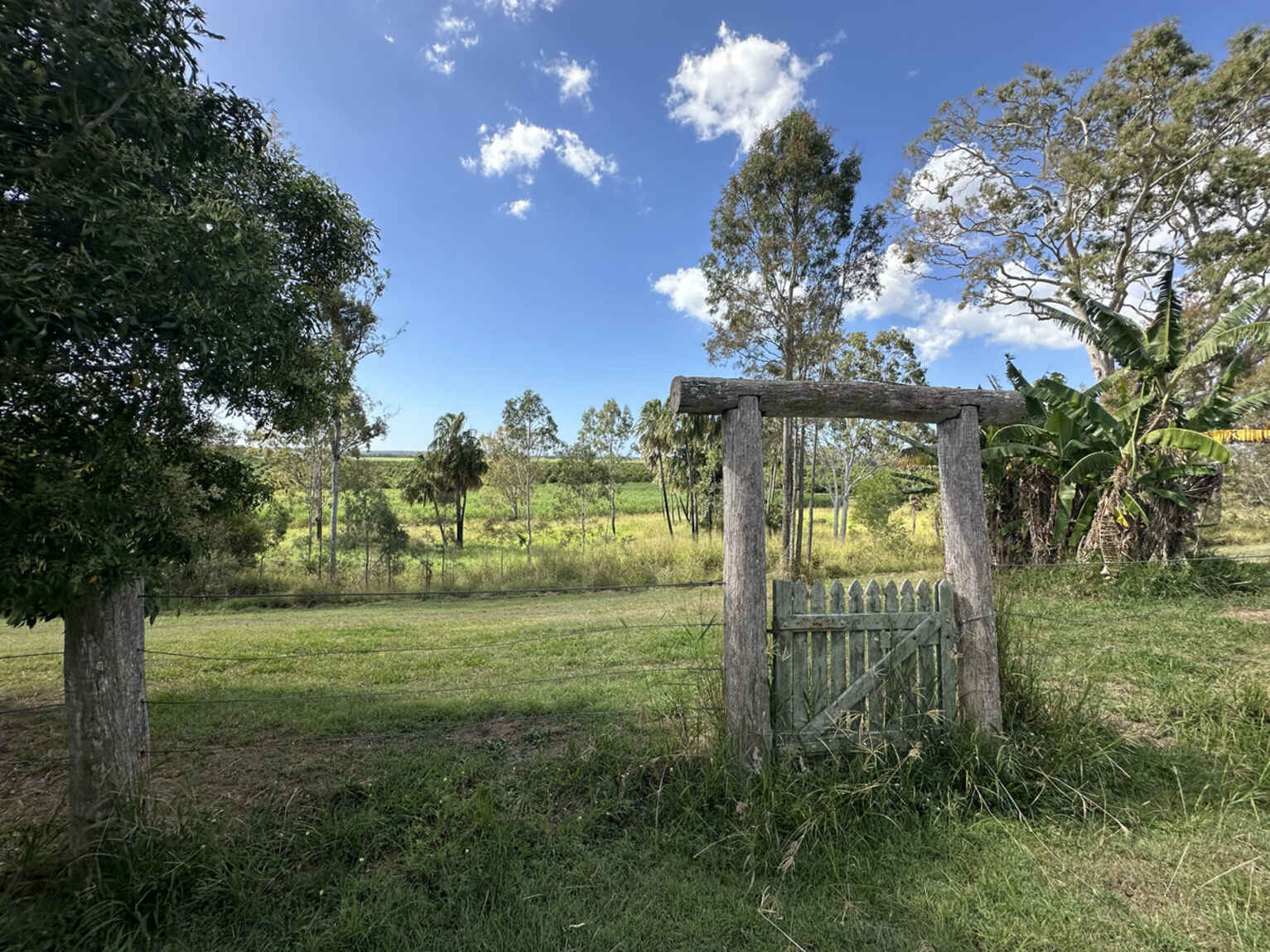 162 Plantation Road Avondale