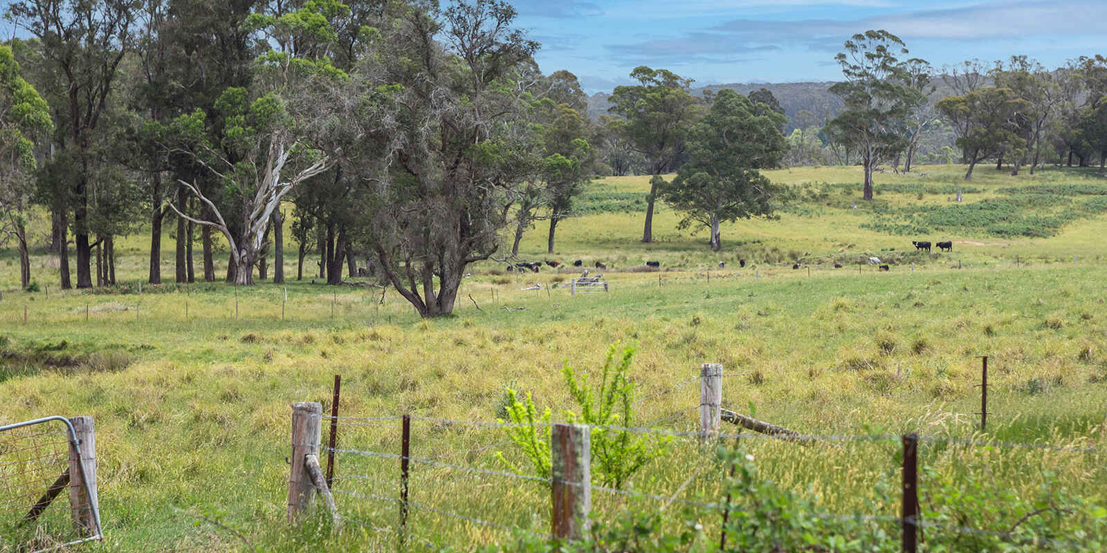 746 Sheepwash Road Avoca