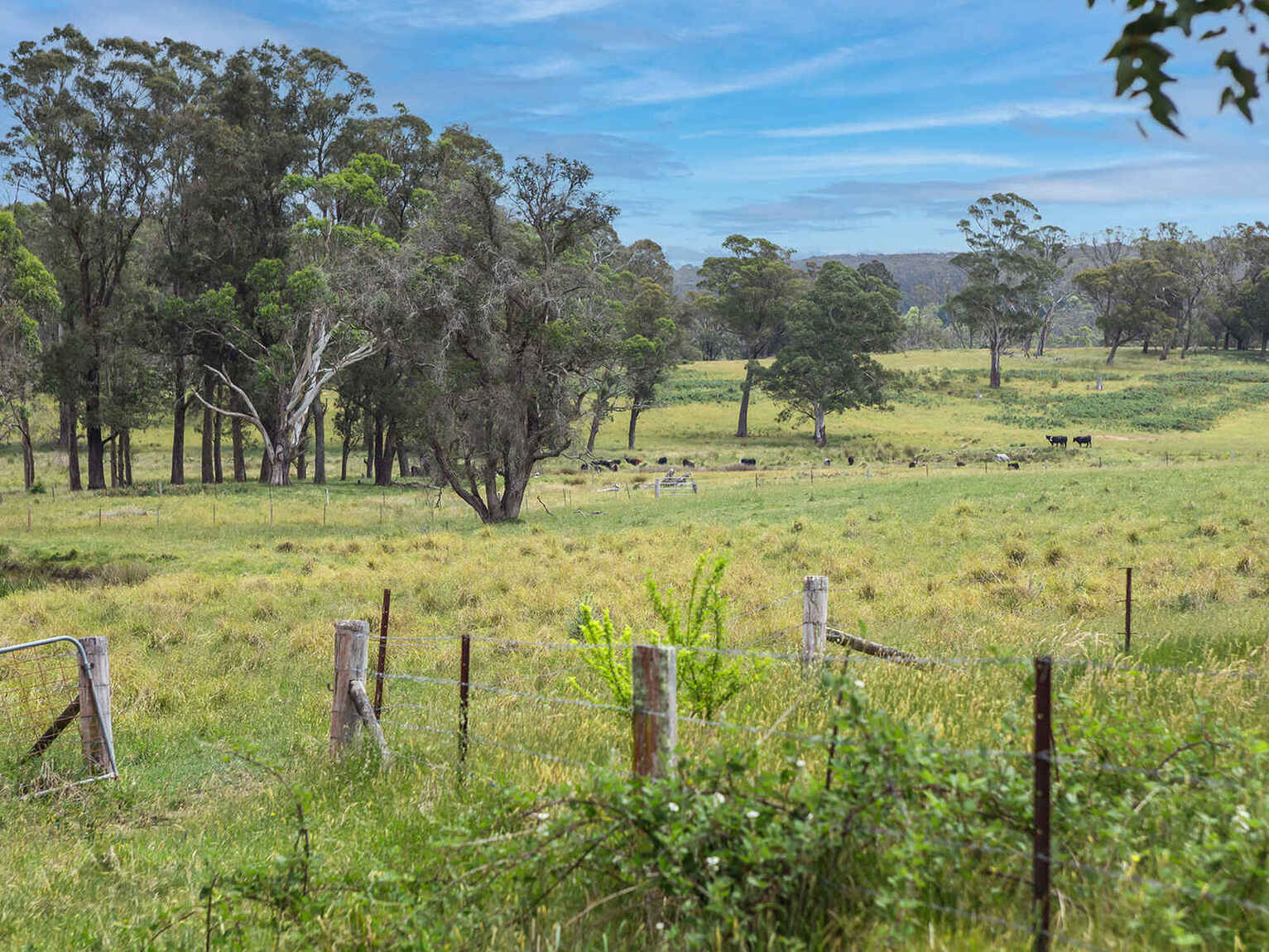 746 Sheepwash Road Avoca